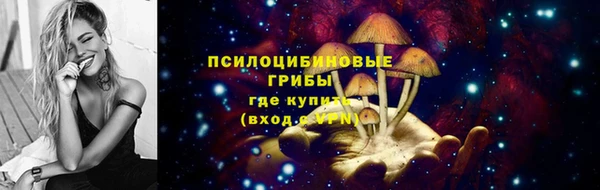 эйфоретик Богородицк