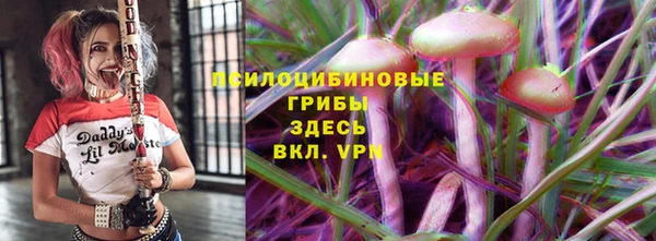 прущий лед Белокуриха
