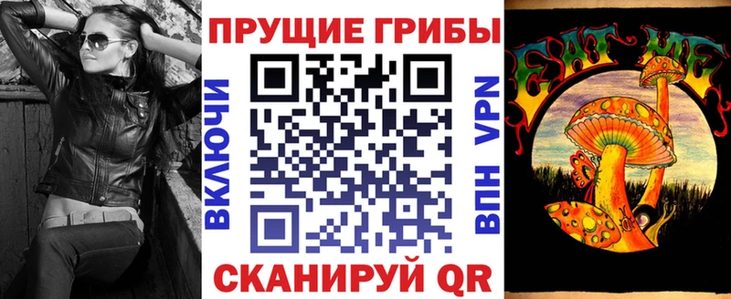 где продают наркотики  Йошкар-Ола  Псилоцибиновые грибы Psilocybine cubensis 